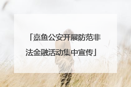 嘉鱼公安开展防范非法金融活动集中宣传