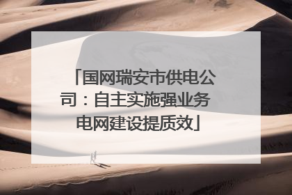 国网瑞安市供电公司：自主实施强业务 电网建设提质效
