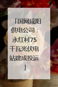 国网咸阳供电公司：永红村75千瓦光伏电站建成投运