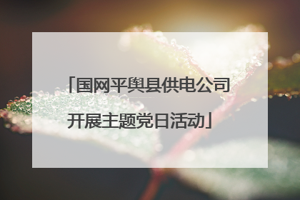 国网平舆县供电公司开展主题党日活动