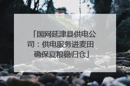 国网延津县供电公司：供电服务进麦田 确保夏粮稳归仓