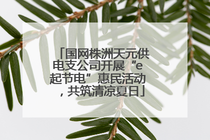国网株洲天元供电支公司开展“e起节电”惠民活动，共筑清凉夏日