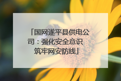 国网遂平县供电公司：强化安全意识 筑牢网安防线