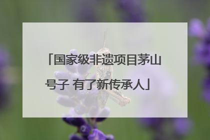 国家级非遗项目茅山号子 有了新传承人