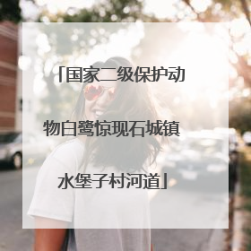 国家二级保护动物白鹭惊现石城镇水堡子村河道