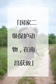 国家二级保护动物，在南昌获救