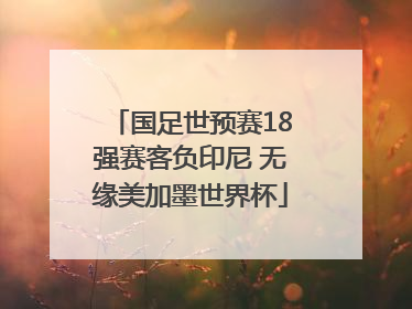 国足世预赛18强赛客负印尼 无缘美加墨世界杯