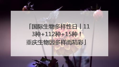 国际生物多样性日丨113种+112种+15种！重庆生物因多样而精彩