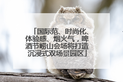国际范、时尚化、体验感、烟火气，啤酒节崂山会场将打造沉浸式双场景园区