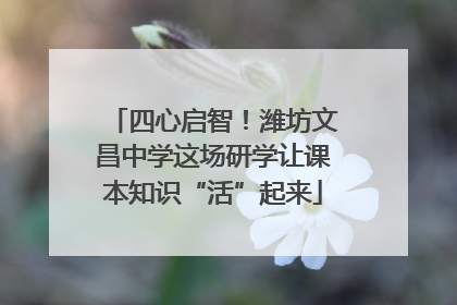 四心启智！潍坊文昌中学这场研学让课本知识“活”起来