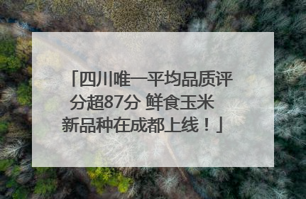四川唯一平均品质评分超87分 鲜食玉米新品种在成都上线！