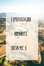 四川汉源：樱桃红 果农忙