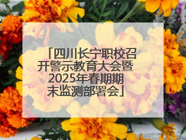 四川长宁职校召开警示教育大会暨2025年春期期末监测部署会