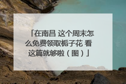 在南昌 这个周末怎么免费领取栀子花 看这篇就够啦（图）