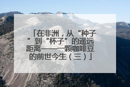 在非洲，从“种子”到“杯子”的遥远距离——一颗咖啡豆的前世今生（三）