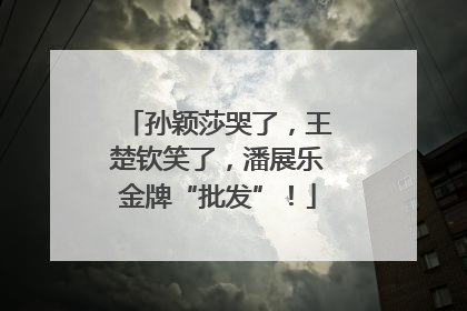 孙颖莎哭了，王楚钦笑了，潘展乐金牌“批发”！