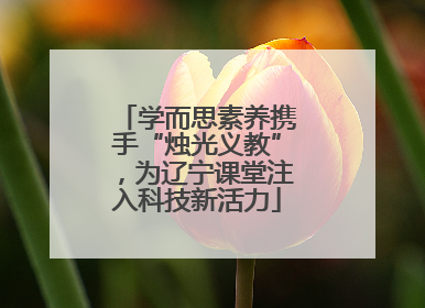 学而思素养携手“烛光义教”，为辽宁课堂注入科技新活力
