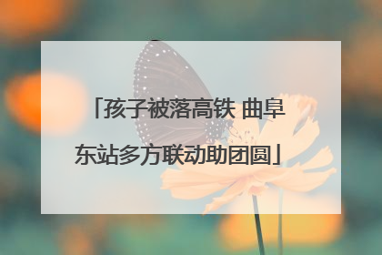 孩子被落高铁 曲阜东站多方联动助团圆
