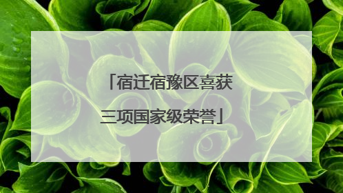 宿迁宿豫区喜获三项国家级荣誉