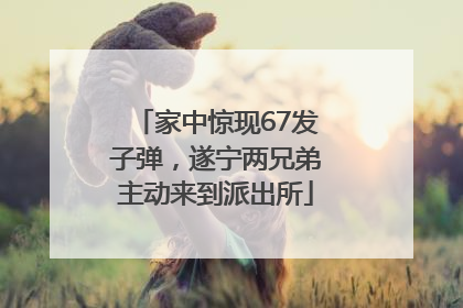 家中惊现67发子弹，遂宁两兄弟主动来到派出所