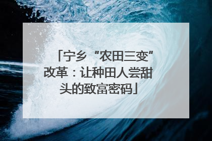 宁乡“农田三变”改革：让种田人尝甜头的致富密码
