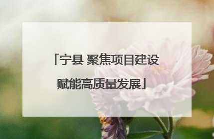 宁县 聚焦项目建设 赋能高质量发展