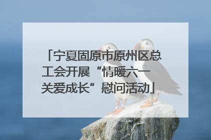 宁夏固原市原州区总工会开展“情暖六一 关爱成长”慰问活动