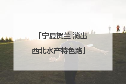 宁夏贺兰 淌出西北水产特色路