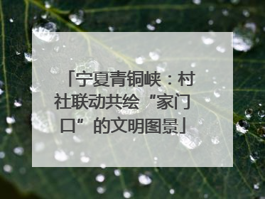宁夏青铜峡：村社联动共绘“家门口”的文明图景