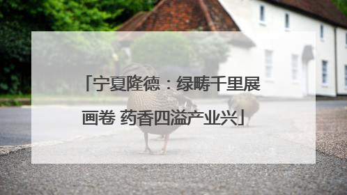 宁夏隆德：绿畴千里展画卷 药香四溢产业兴