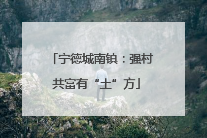 宁德城南镇：强村共富有“土”方