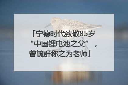 宁德时代致敬85岁“中国锂电池之父”，曾毓群称之为老师