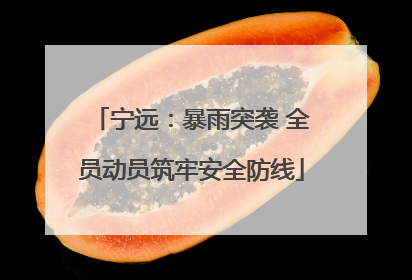 宁远：暴雨突袭 全员动员筑牢安全防线
