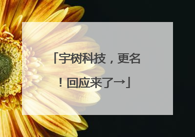 宇树科技，更名！回应来了→