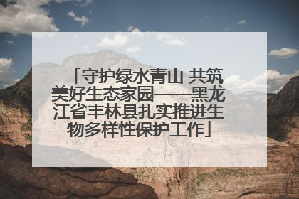 守护绿水青山 共筑美好生态家园——黑龙江省丰林县扎实推进生物多样性保护工作