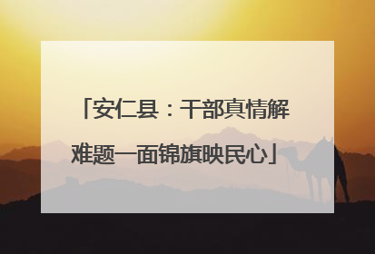 安仁县：干部真情解难题一面锦旗映民心