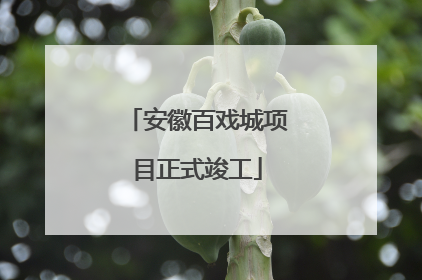安徽百戏城项目正式竣工
