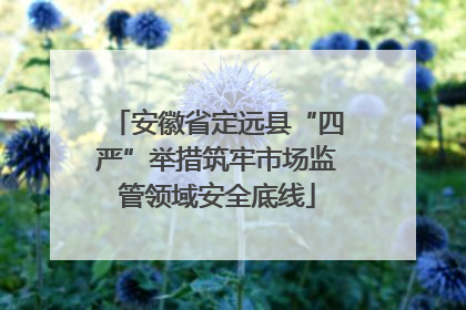 安徽省定远县“四严”举措筑牢市场监管领域安全底线