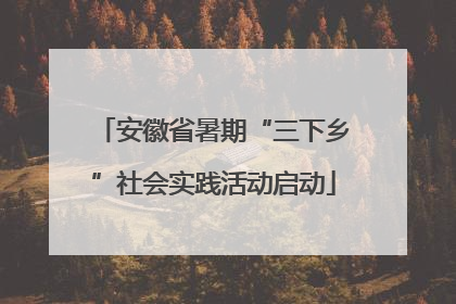 安徽省暑期“三下乡”社会实践活动启动