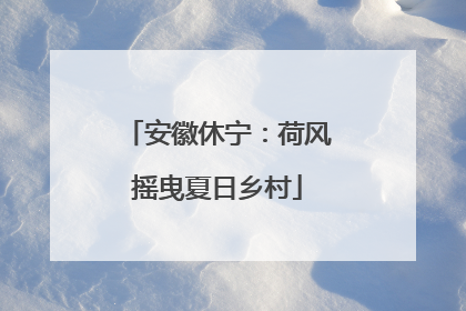 安徽休宁：荷风摇曳夏日乡村