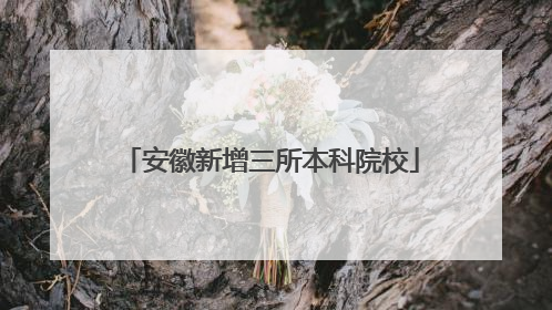 安徽新增三所本科院校