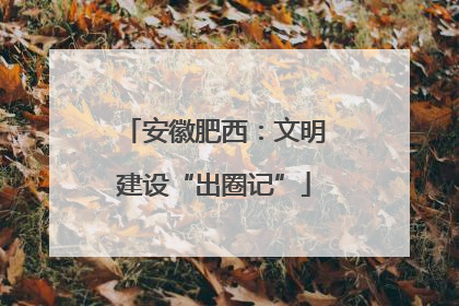 安徽肥西：文明建设“出圈记”