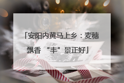 安阳内黄马上乡：麦穗飘香 “丰”景正好