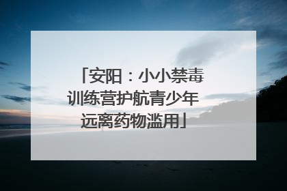 安阳：小小禁毒训练营护航青少年远离药物滥用