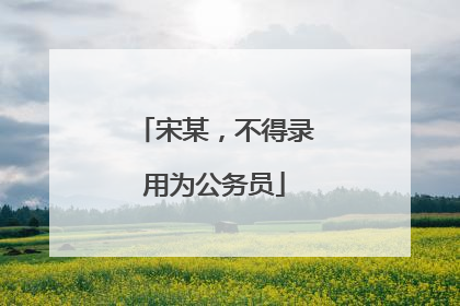宋某，不得录用为公务员