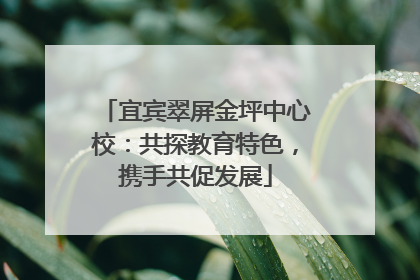宜宾翠屏金坪中心校：共探教育特色，携手共促发展