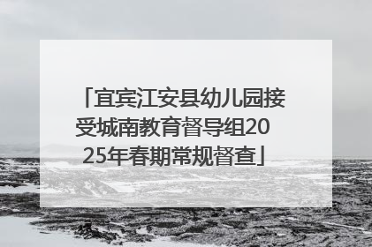 宜宾江安县幼儿园接受城南教育督导组2025年春期常规督查