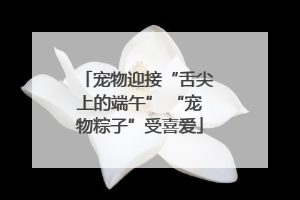 宠物迎接“舌尖上的端午” “宠物粽子”受喜爱