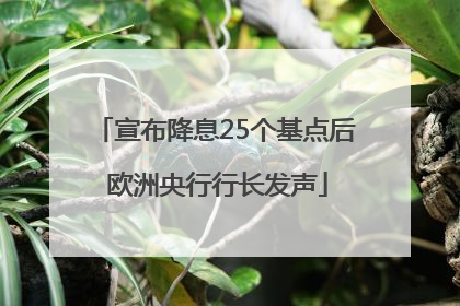 宣布降息25个基点后 欧洲央行行长发声