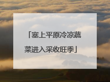 塞上平原冷凉蔬菜进入采收旺季